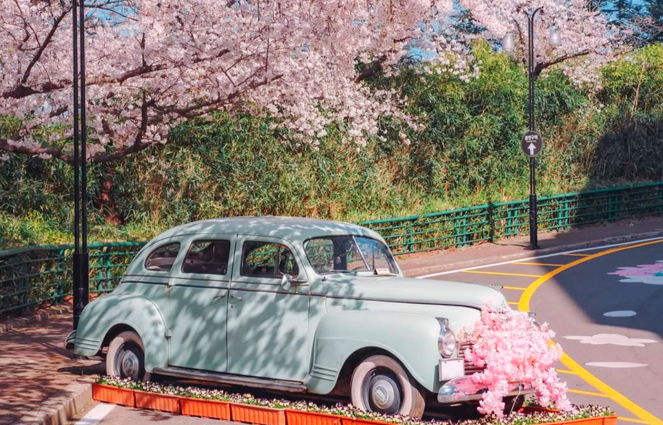 이월드 사진 명소