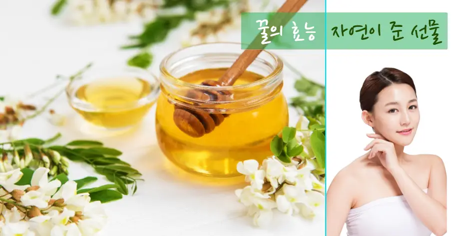 자연이 준 선물, 꿀의 놀라운 효능
