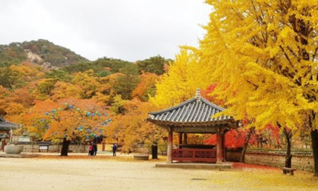 2025 속리산 단풍 절정시기 &amp; 등산지도 ❘ 추천 등산코스 최신 업데이트