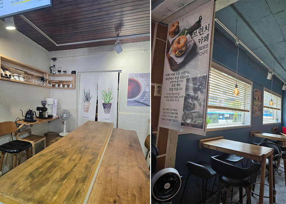 햇살도 들어오는 자리