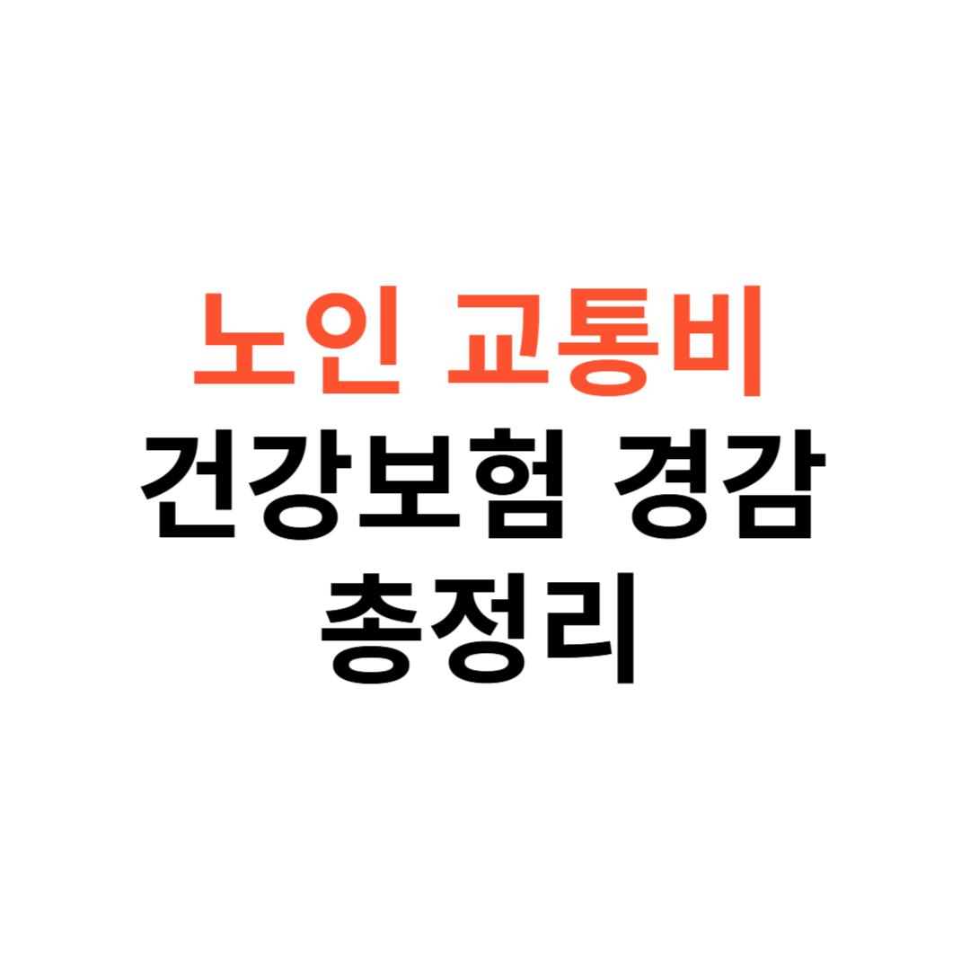 노인 교통비