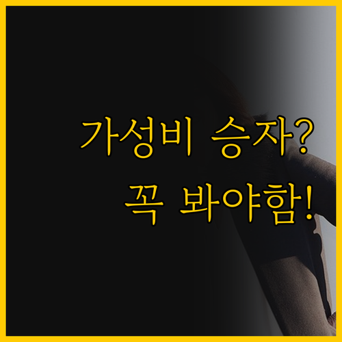 ๊ฐ์ฑ๋น ๋๊ฒฐ! ํด๋์ฐ ์ฐจ์ด์จ BLDC..