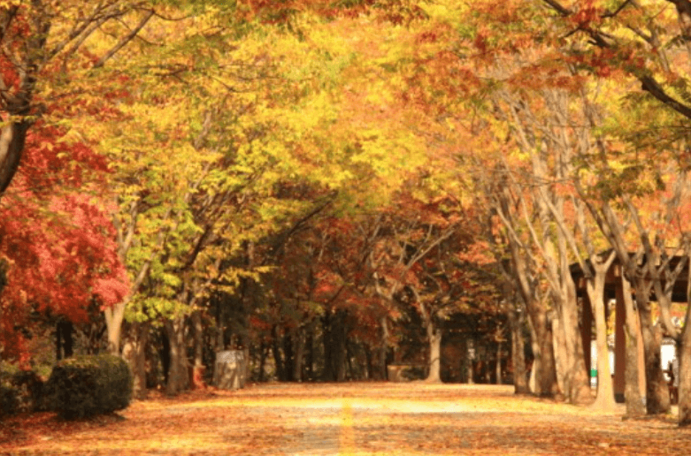 서울대공원