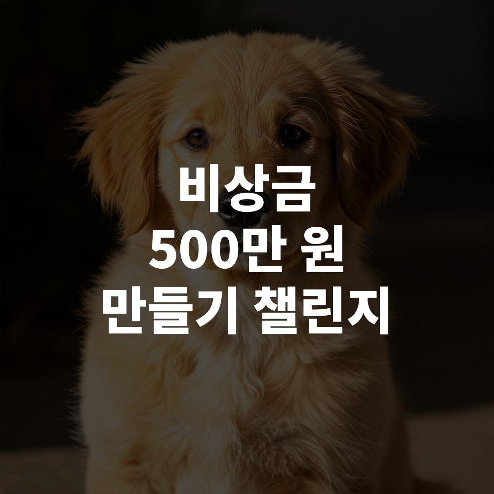 비상금 500만 원 만들기 챌린지