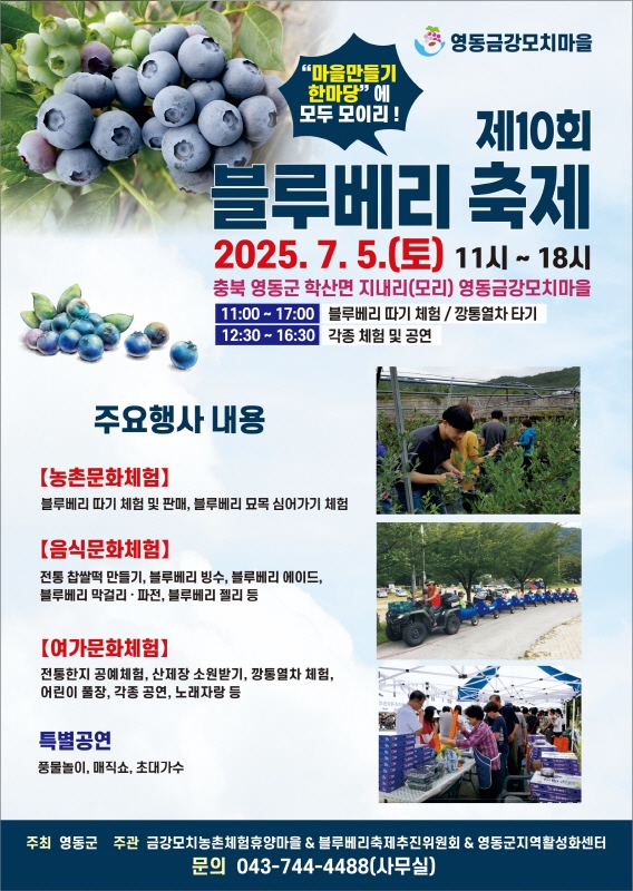 블루베리축제