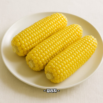 초당옥수수 효능