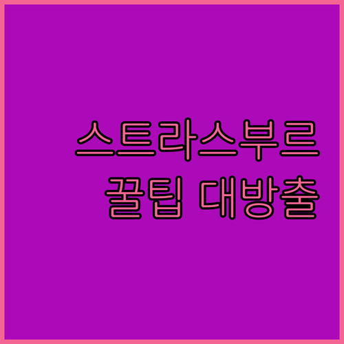 스트라스부르 Holiday Inn E..