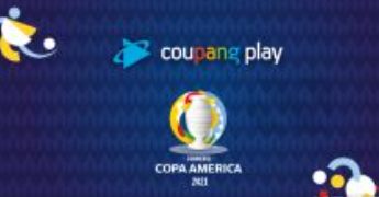 잉글랜드스위스네덜란드튀르키예