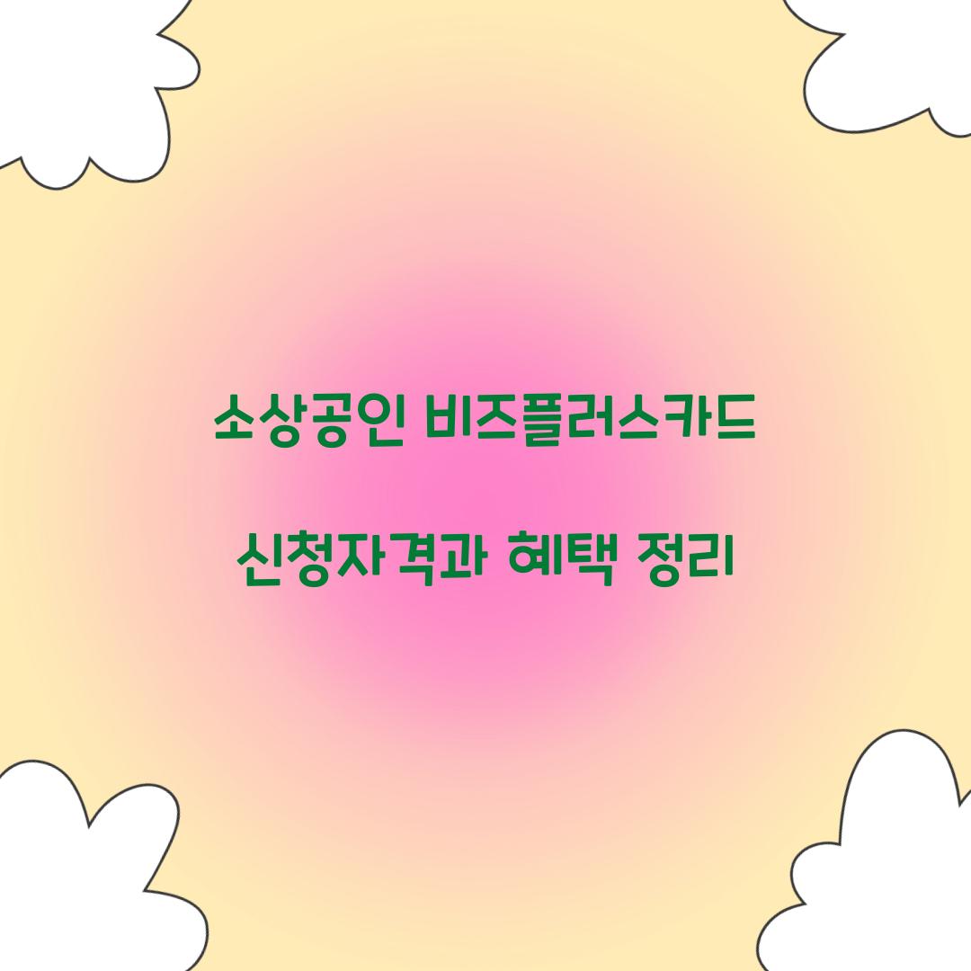 소상공인 비즈플러스카드