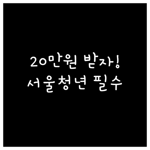 서울청년문화패스 20만원 바우처 대상..