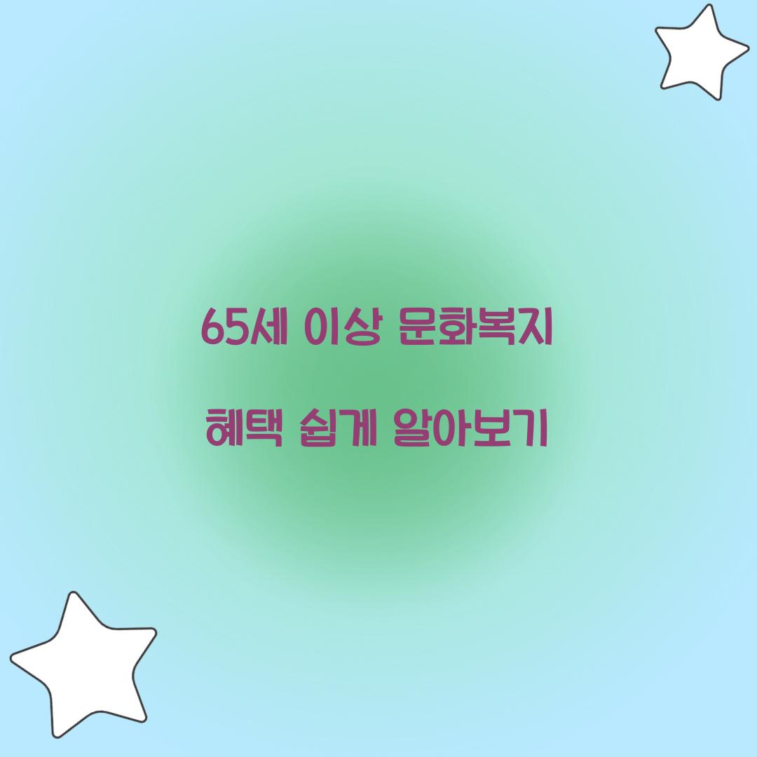 65세 이상 문화복지