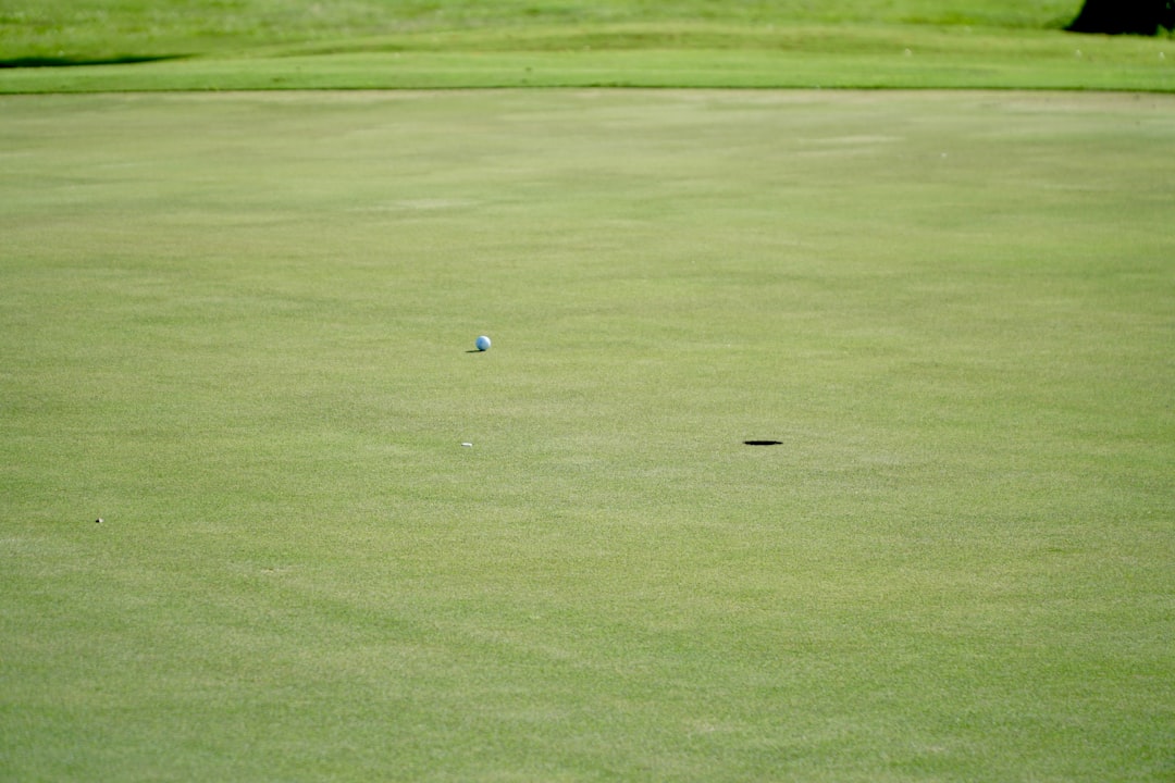 Putter