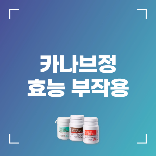 카나브정 30mg 효능 복용법 부작용 주의사항