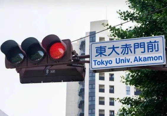 도쿄 대학교의 국제학생 프로그램은 독특합니다