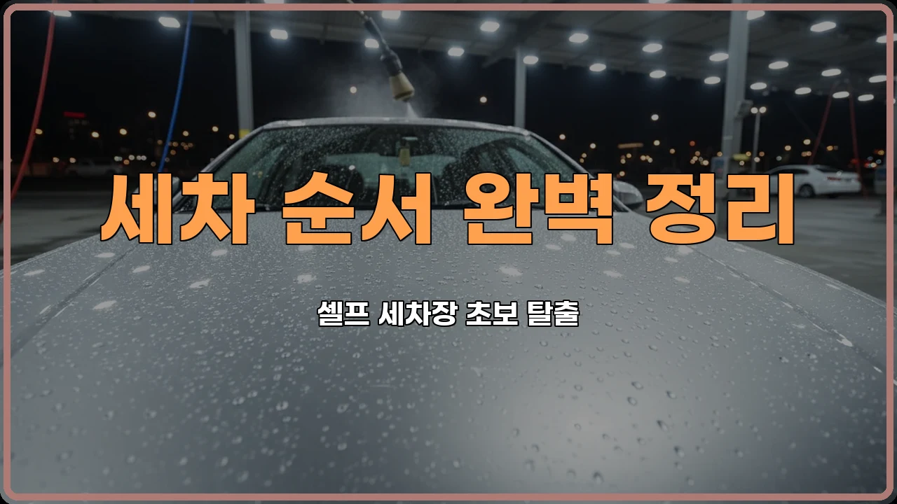 세차초보
