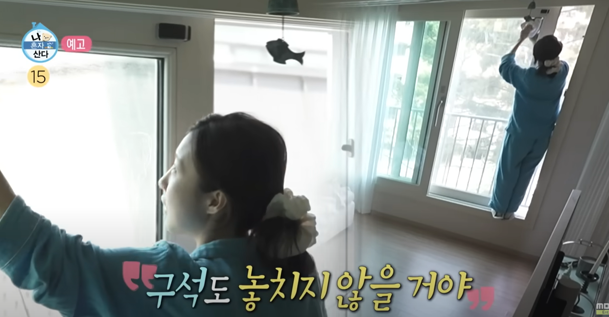 주현영 창문 청소기