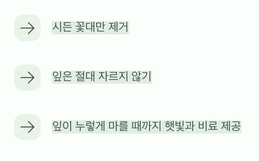 내년을 기약하는 가장 중요한 시간