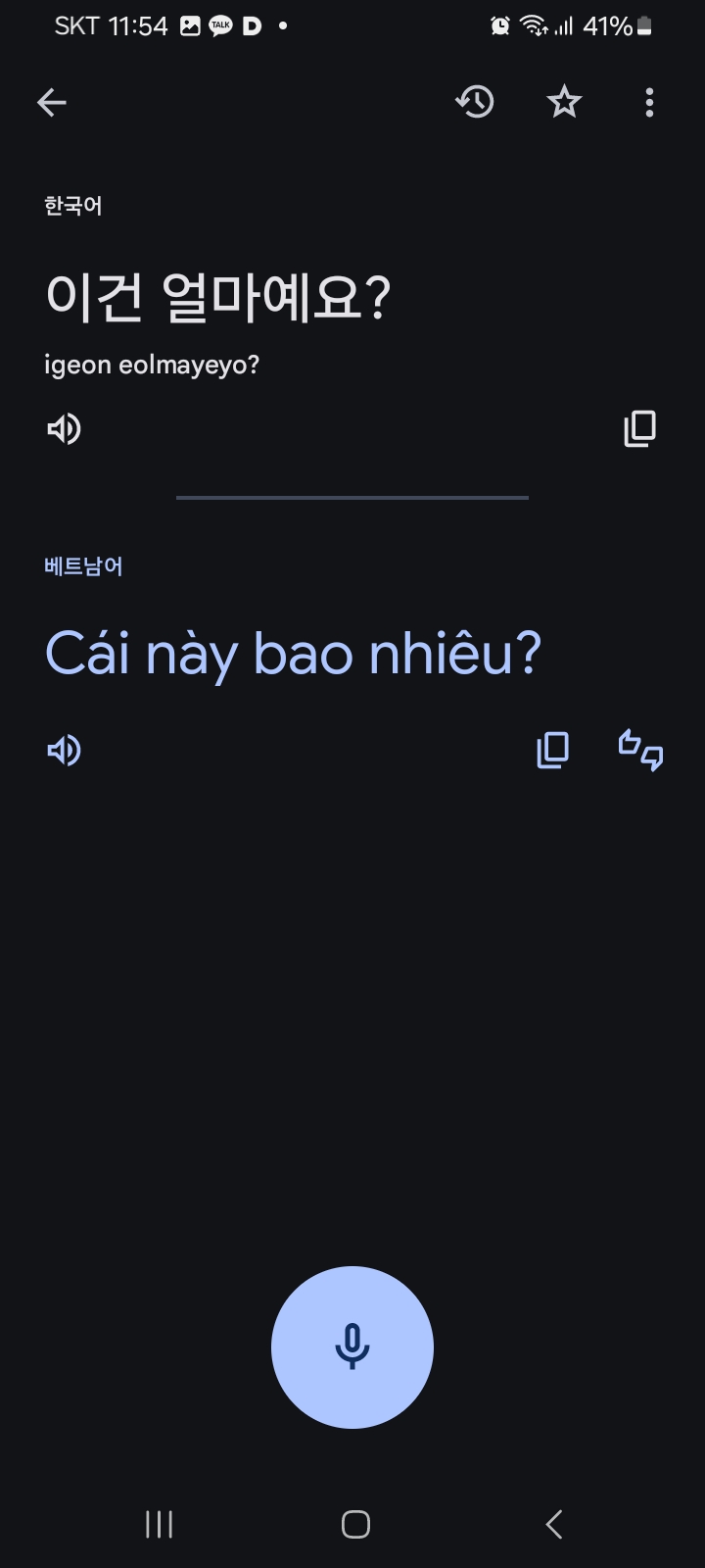 베트남어 번역기