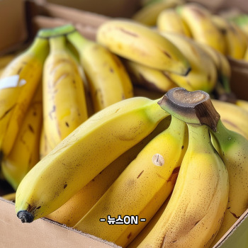 마그네슘이 풍부한 음식