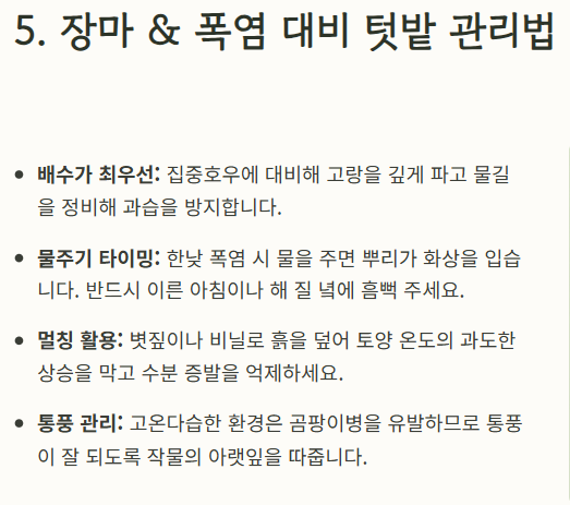 7월에 심는 밭작물