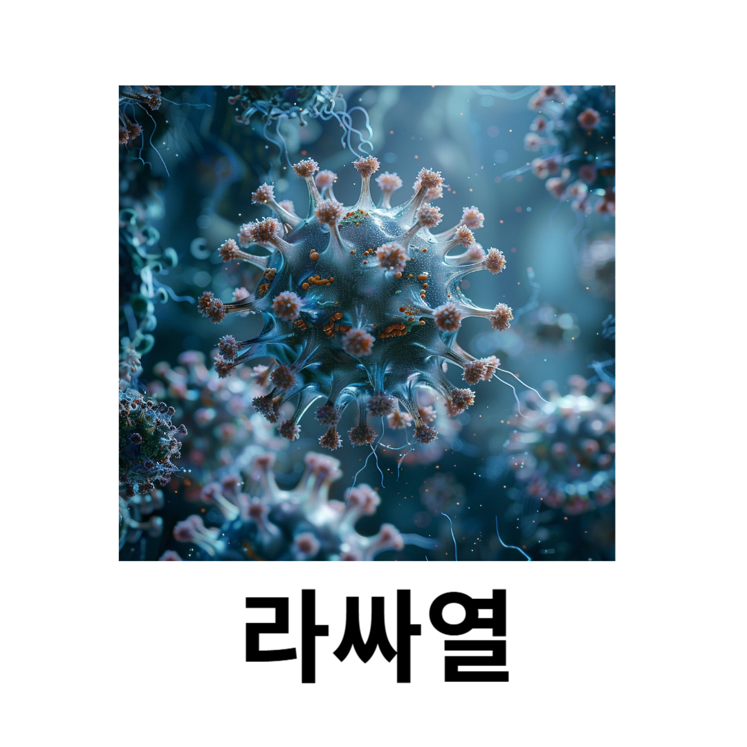 라싸열과 관련된 사진입니다.