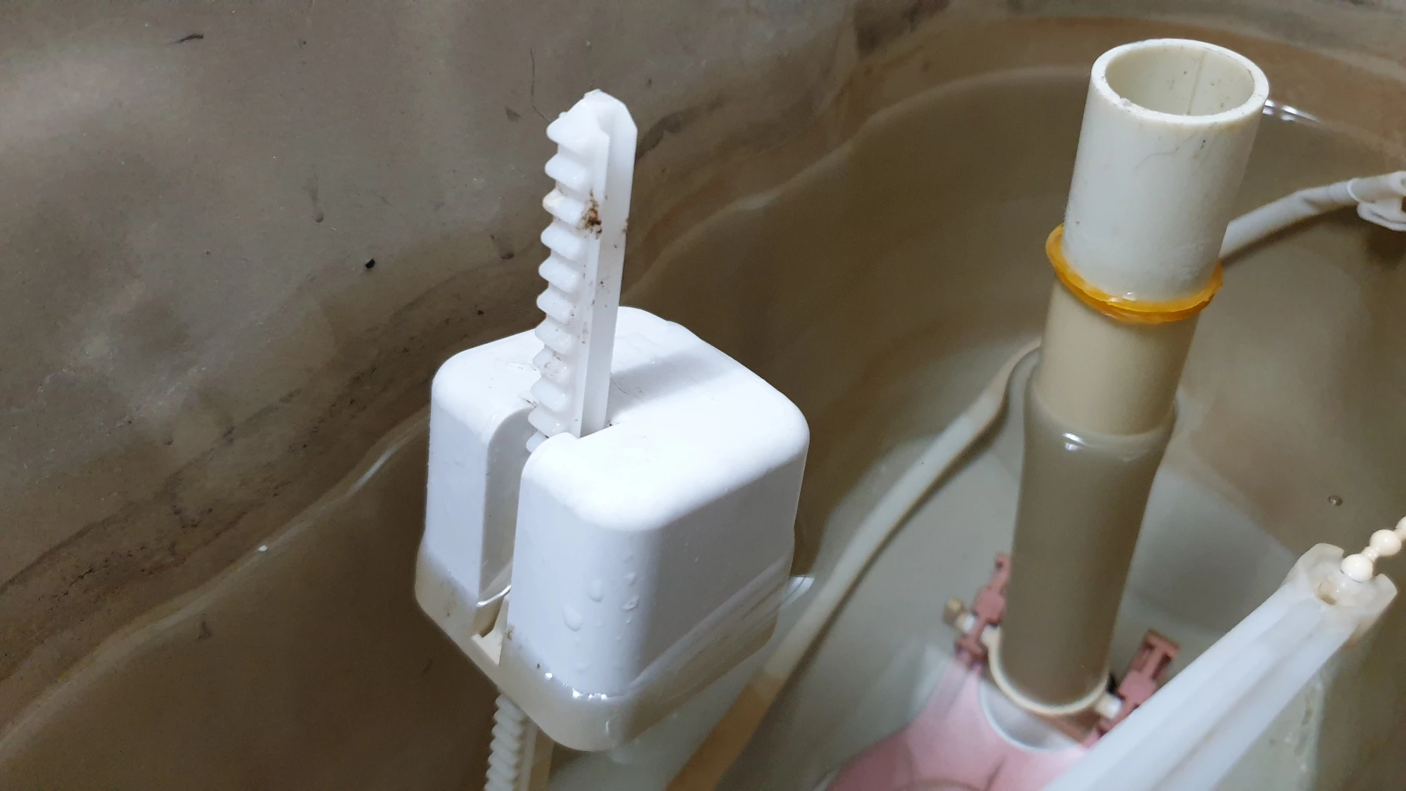 물이 적게 담긴 모습