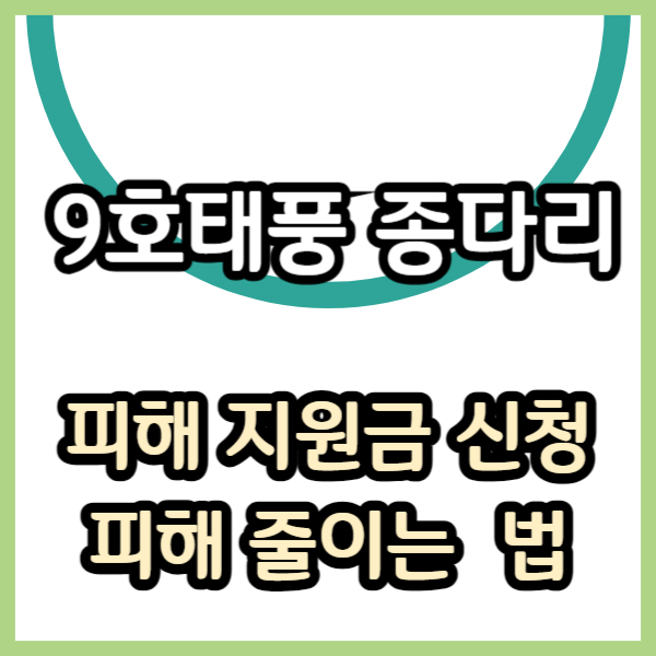 9호태풍 종다리 피해 줄이는법 태풍 피해 지원금 신청 방법