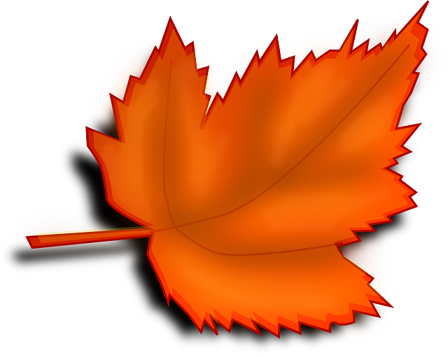 가족 여행 추천지