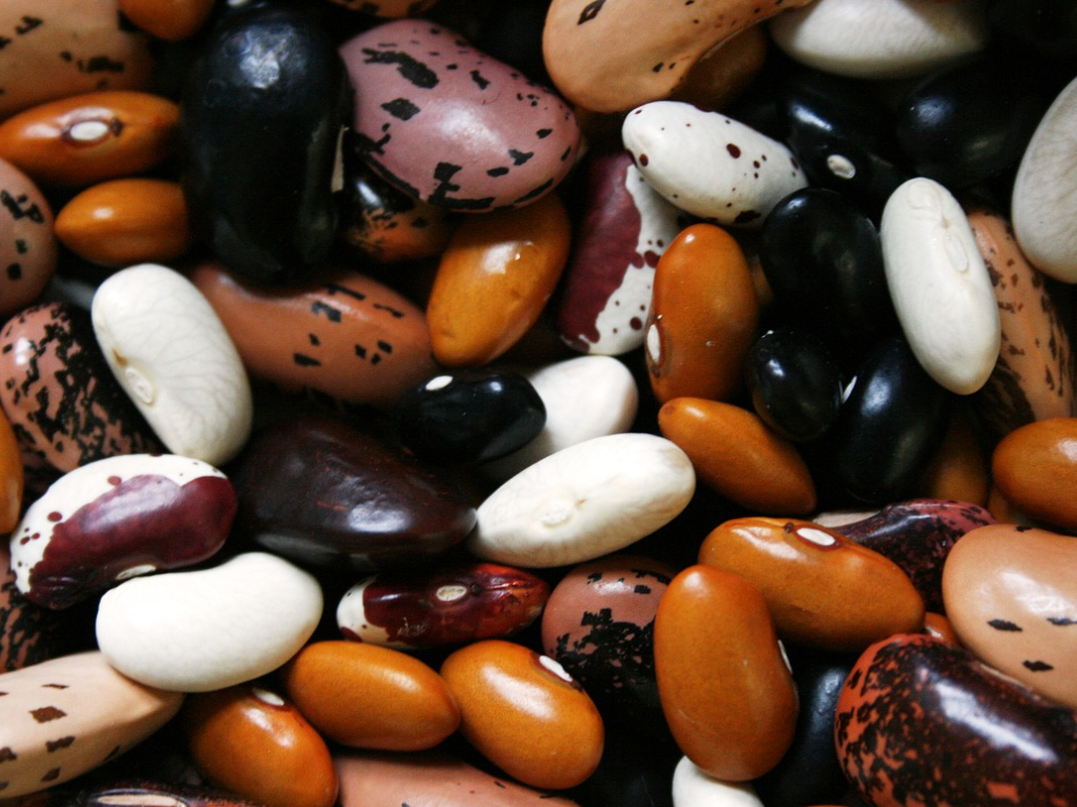 알레르기 비염에 좋은 음식