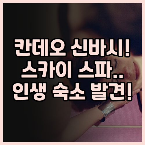 칸데오 호텔 도쿄 신바시 후기 도심 ..