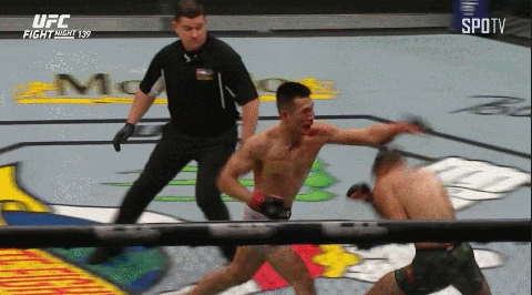 정찬성 ko 장면 야이르 로드리게스 버저비터 엘보우