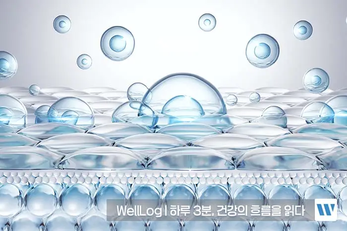 리포좀 비타민C 효능 복용법