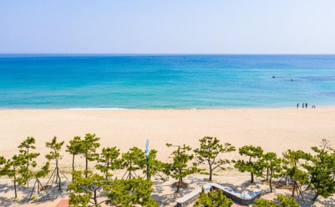 안목을높이다 펜션