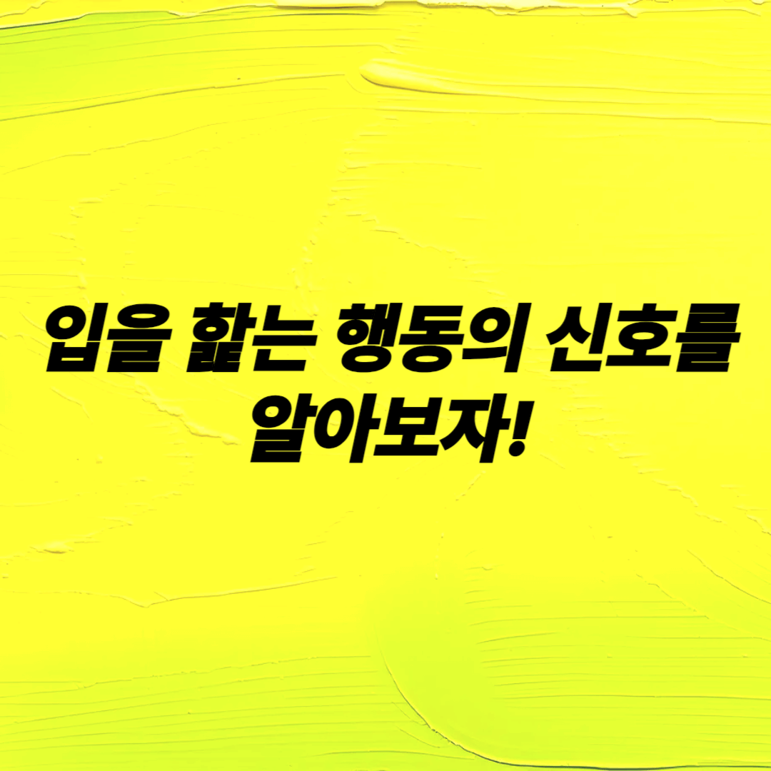 우리 집 강아지가 보내는 신호 해석하기 강아지 행동분석