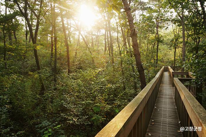국내여행지 추천[한국관광 100선]