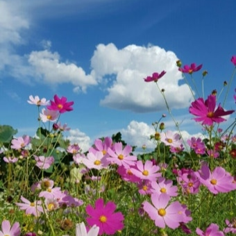 노인장기요양보험 서비스별 월예상 본인부담금 계산
