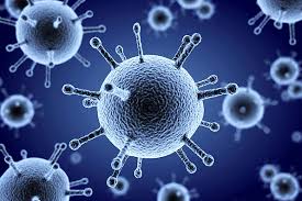 A형 독감, B형 독감