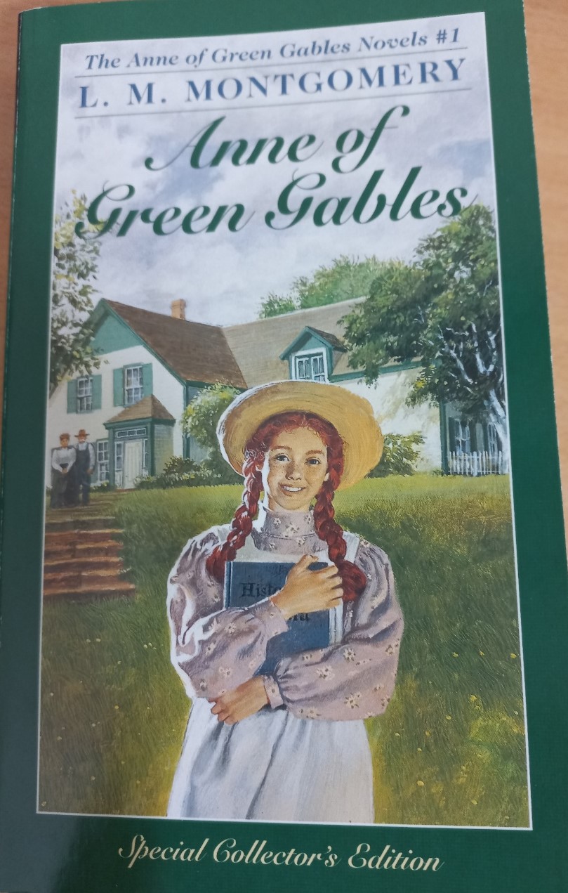 영서 빨간 머리 앤