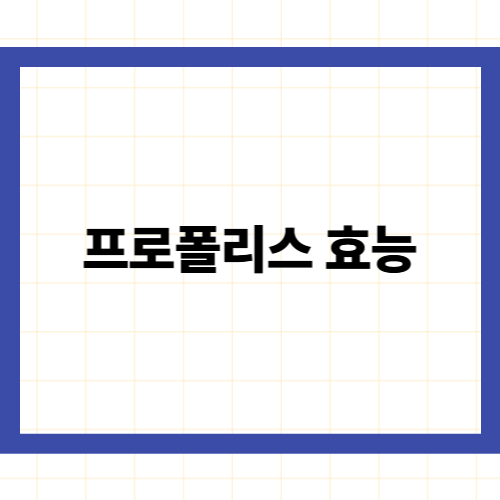 프로폴리스 효능