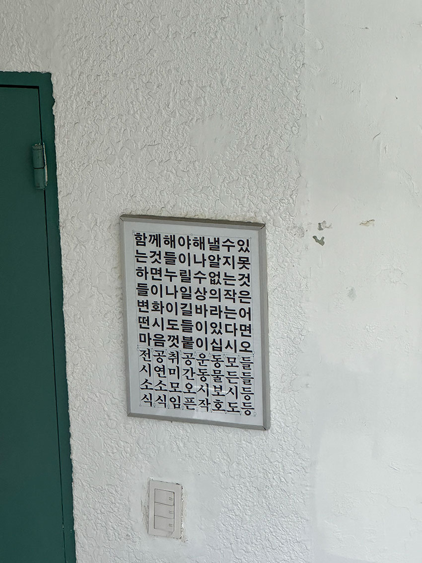취업에 강한 국비지원 자격증 추천