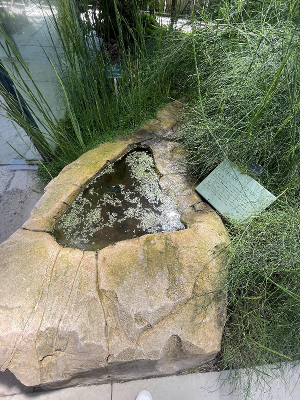 Serre de l'Histoire Des Plantes
