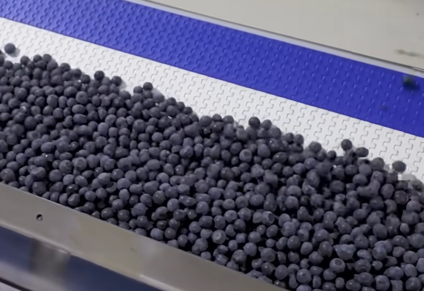 블루베리 효능 부작용