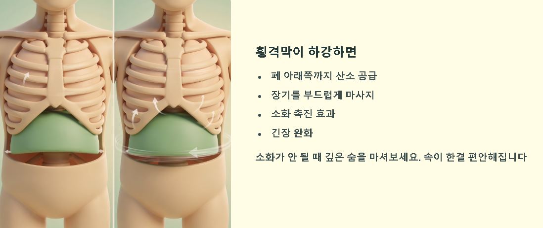복식호흡하는 방법
