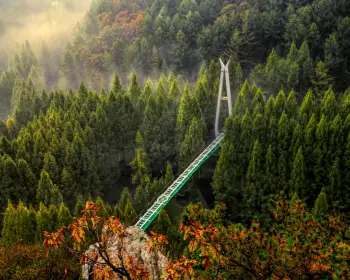 장태산 자연휴양림_4