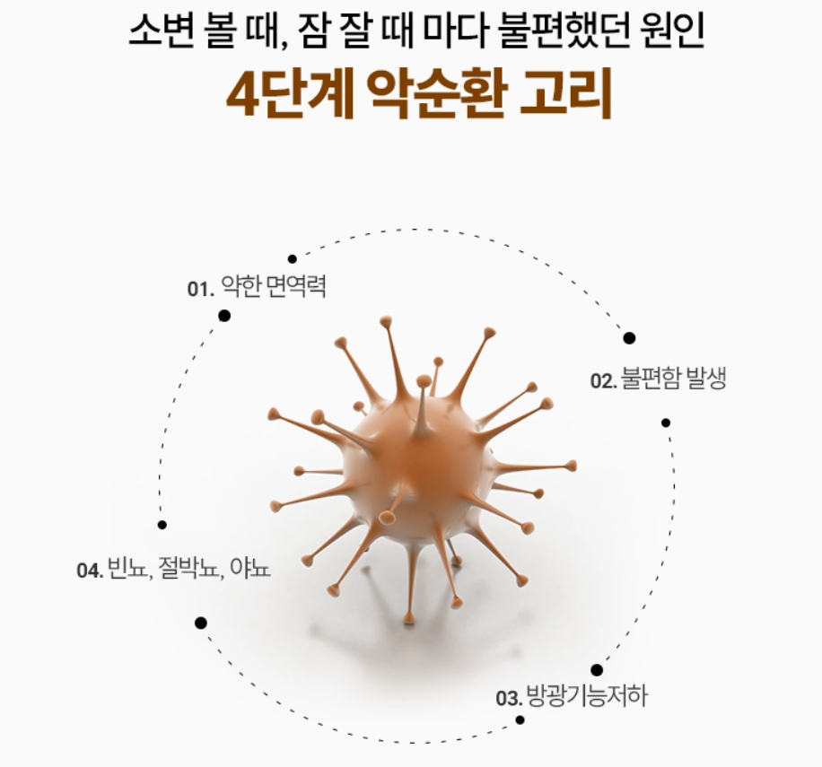 BN01-사진4