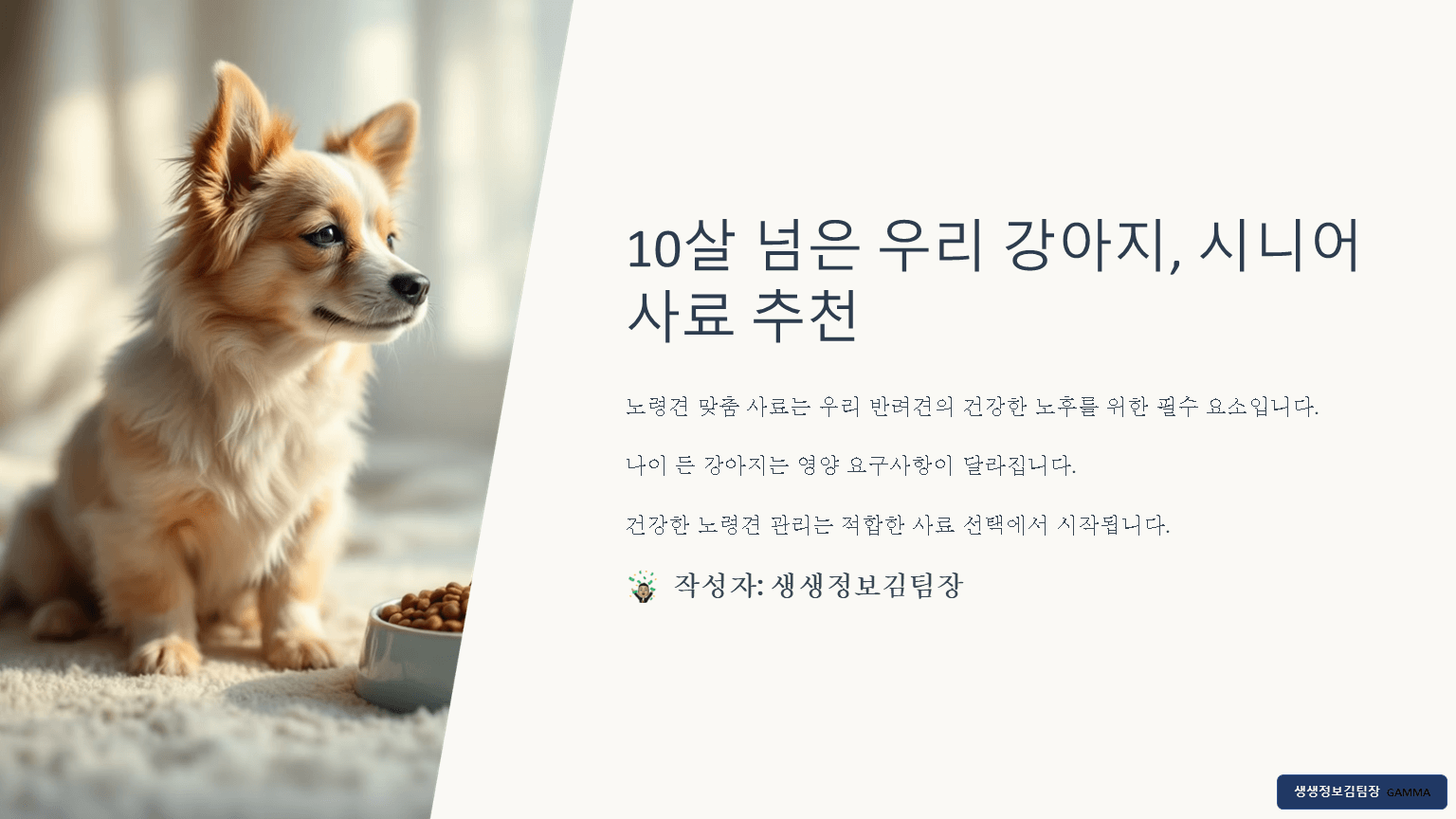 10살 넘은 강아지를 위한 노령견용 사료 추천