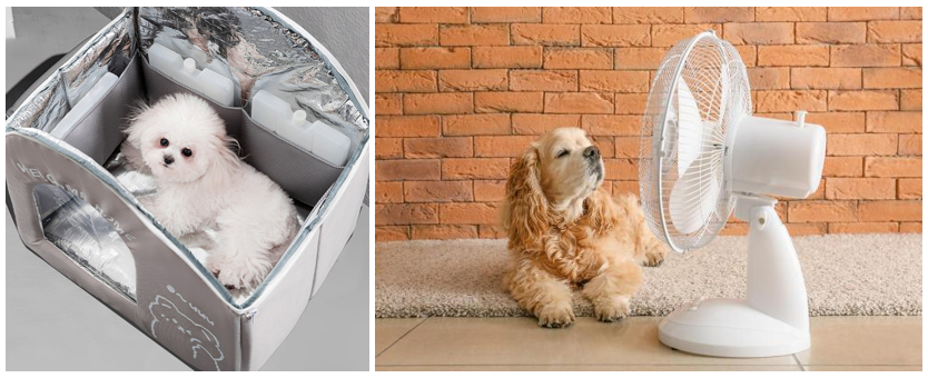 쿨링 하우스(좌), 선풍기(우) 이미지