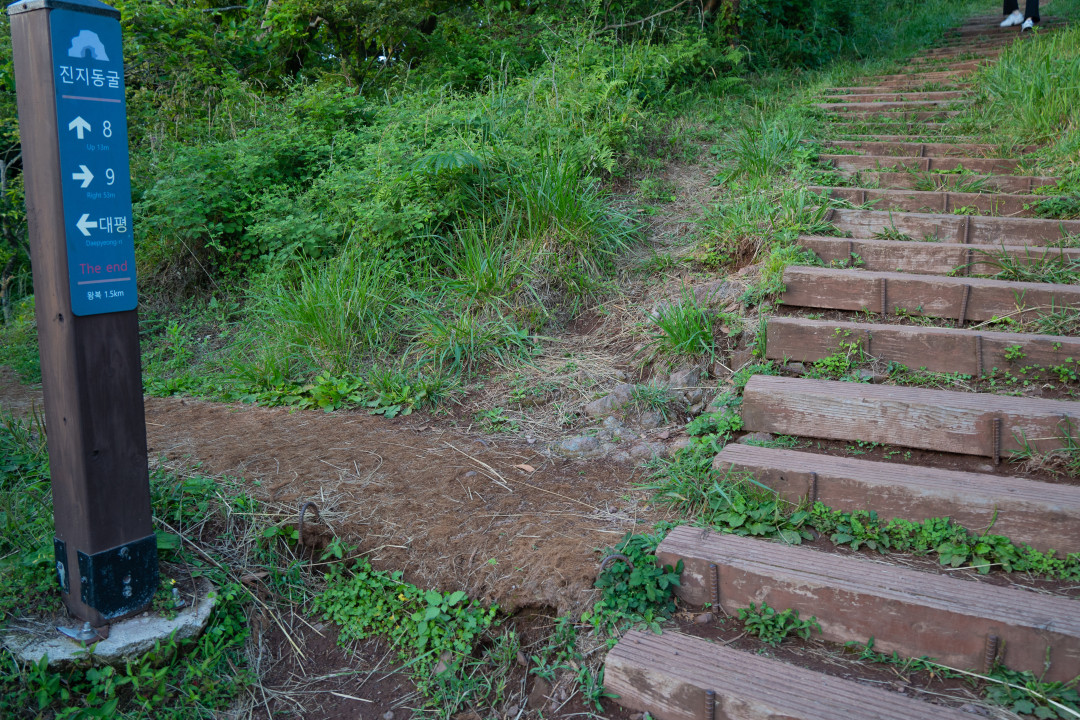 군산 오름 올라가는길