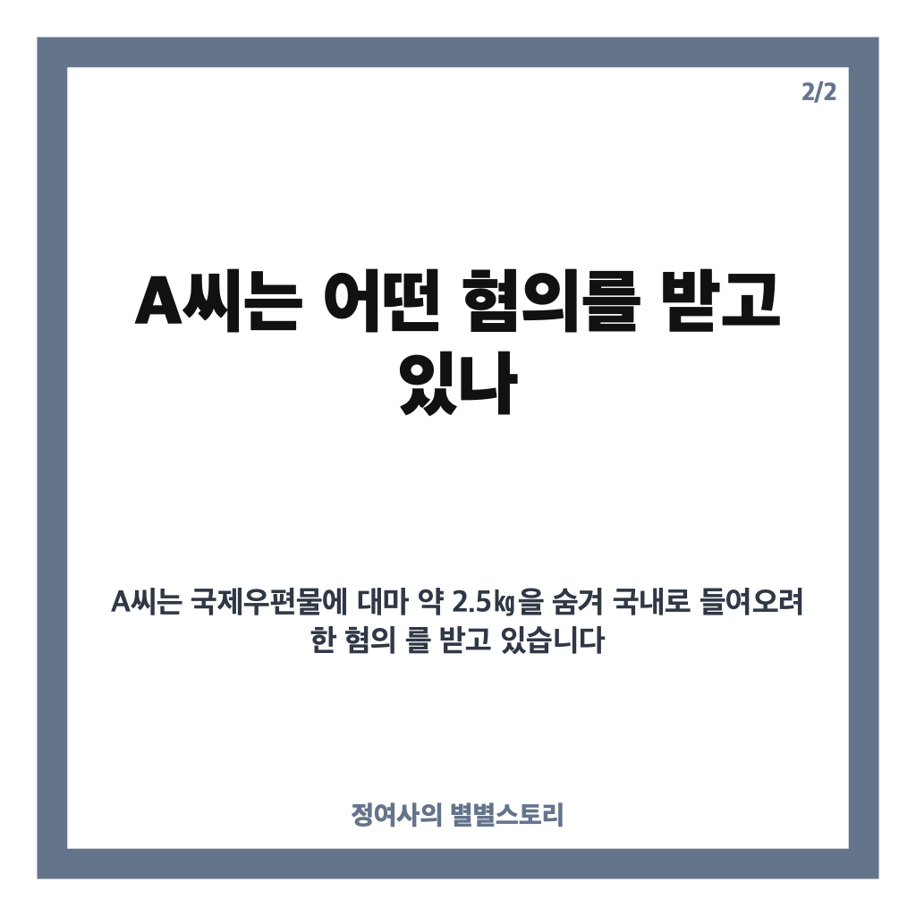 중수청 대마 밀수 첫 구속, 출범 16일 만에 무슨 일이 있었나 카드뉴스 3
