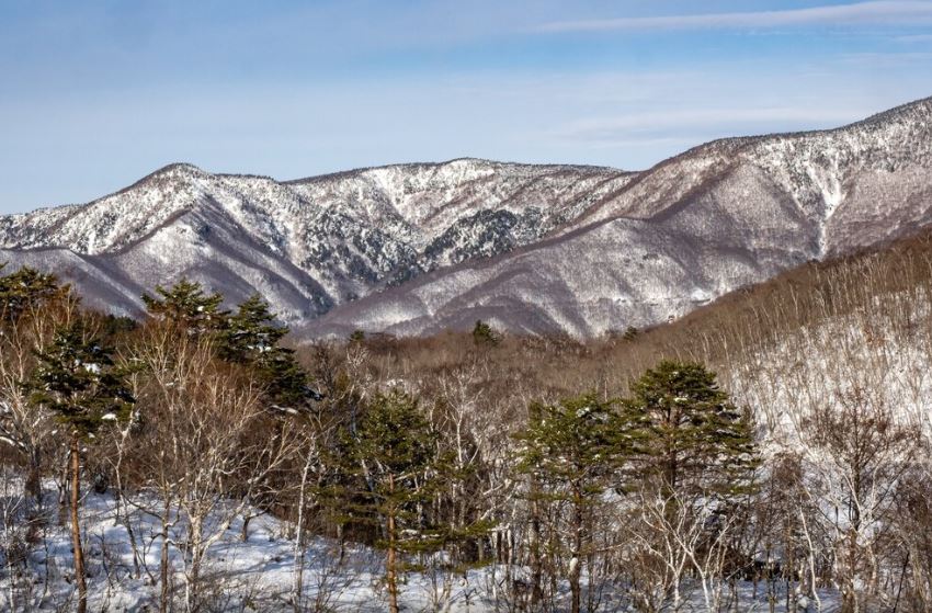 대관령 눈꽃 축제